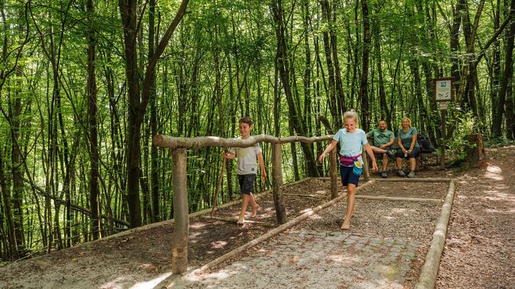 Bamster_Wald_Familie__c_Manuela_Meyer__8__web