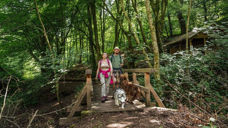 Spitzbubenweg__c_Manuela_Meyer__5__16_9
