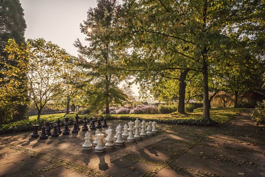 Schachfeld mit schönem Licht auf Finkenrech