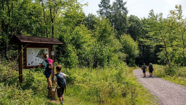Bamster_Wald_Familie__c_Manuela_Meyer__3__web