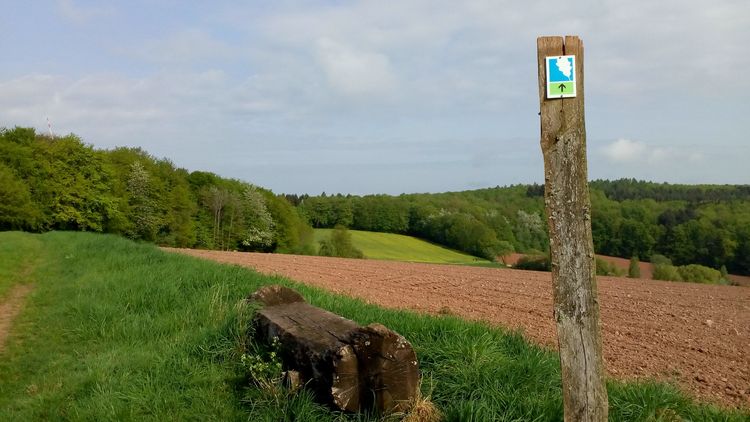 Blick auf Wiese und Feld