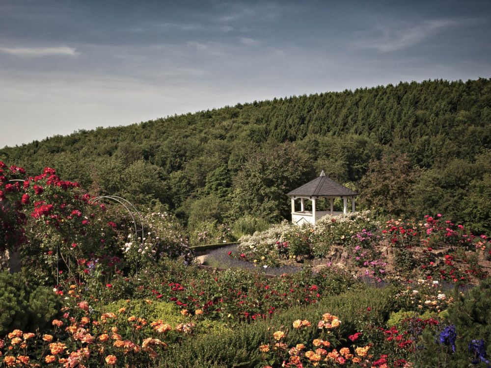 Rosengarten mit Pavillon