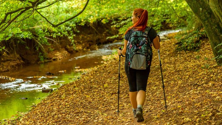 Frau mit Wanderstöcken im Wald