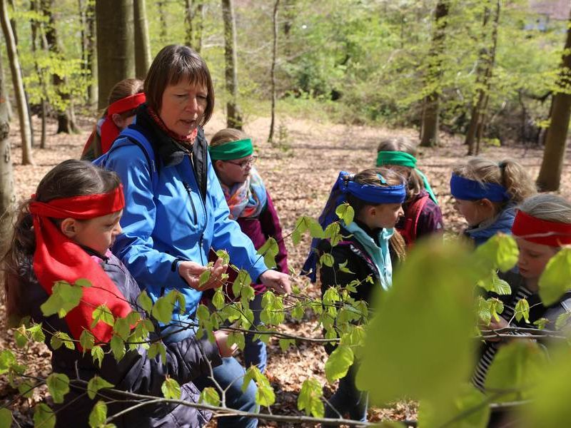 Kinder mit Gästeführerin Agnes Schmal im Wald