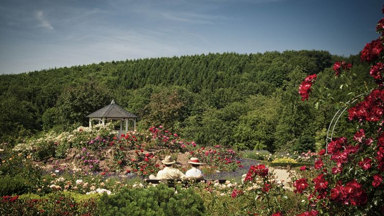 Rosengarten mit Pavillon