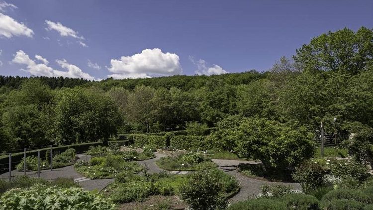 Blick auf den Kräutergarten