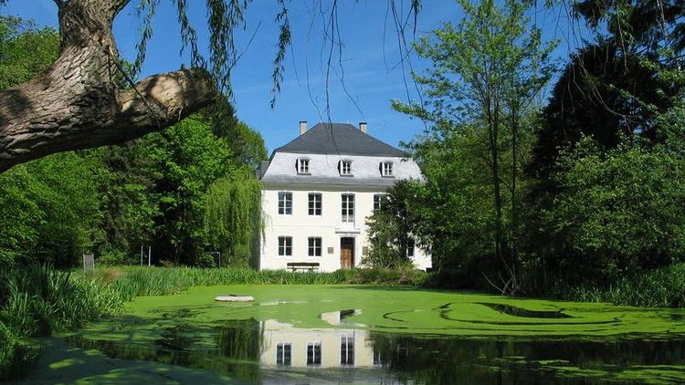 Schloss Buseck mit Weiher im Vordergrund