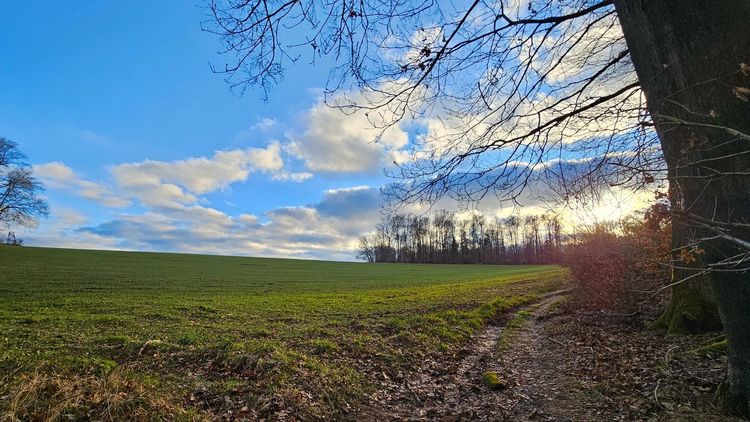 Biergartenweg__c_Elisa_Ritzenthaler_Menschenhaus
