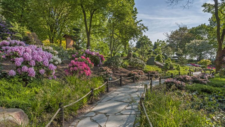 Weg im asiatischen Garten