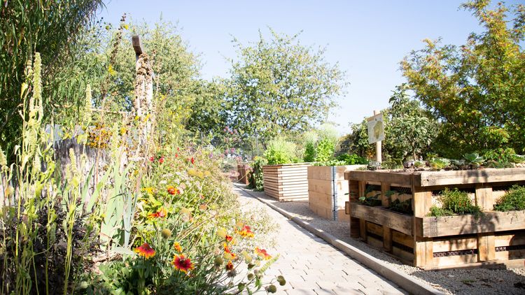 Blick auf den Bauerngarten