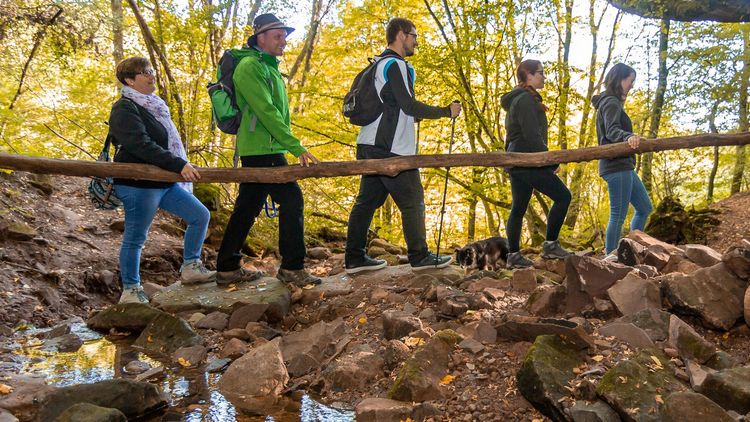 Wandertruppe im Wald