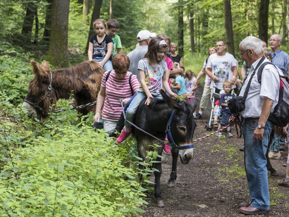 Mädchen auf einem Esel mit Gästeführer Martin Simon bei der Erlebniswanderung