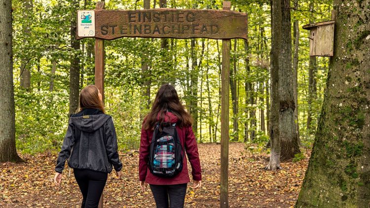 Steinbachpfad__Portal__c_Steffen_Klos_crop_kl