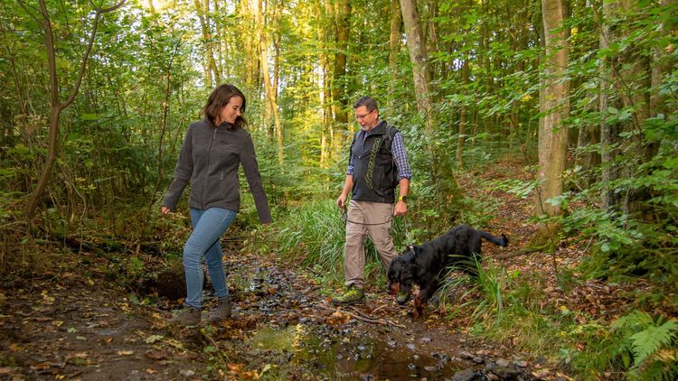 eine Frau, ein Mann und ein Hund beim Wandern