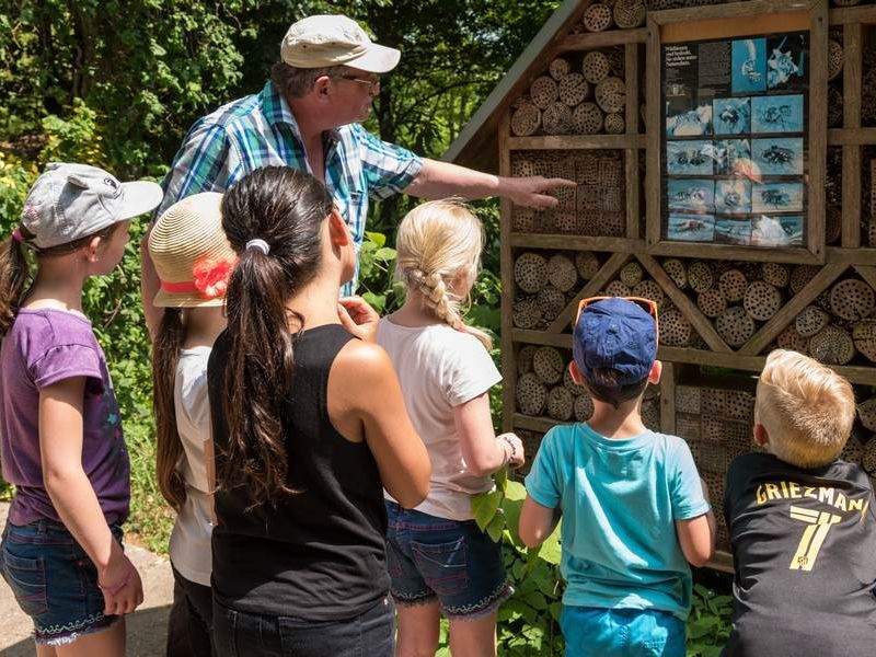 Kinder mit Gästeführer Werner Paul vor einem Bienenhaus