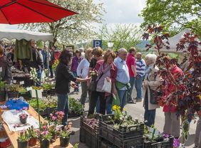 Menschen bei Herbst auf Finkenrech