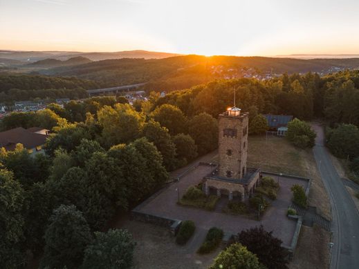 Blick auf den Galgenbergturm mit Rosen im Vordergrund