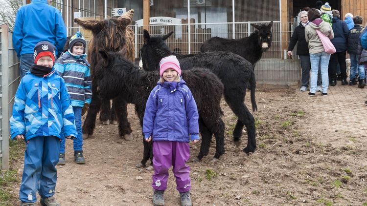 Kinder im Tiergehege auf Finkenrech