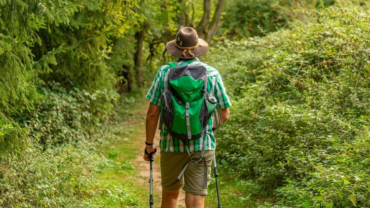 ein Wanderer im Wald