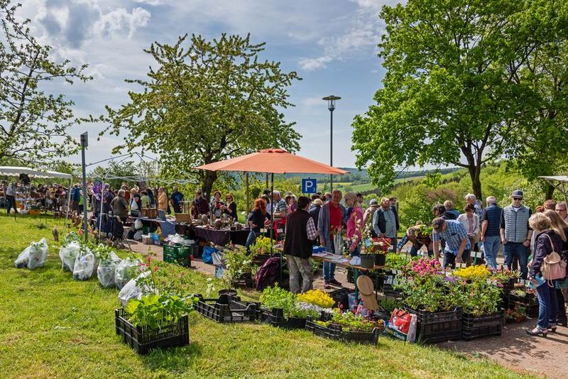 Marktgeschehen bei Herbst auf Finkenrech