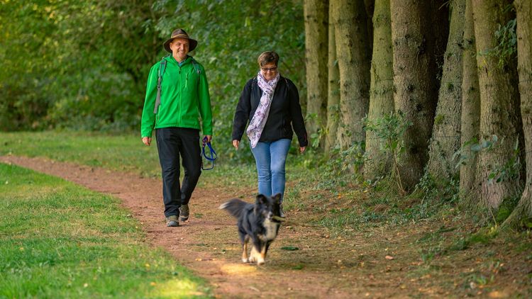 zwei Wanderer und ein Hund