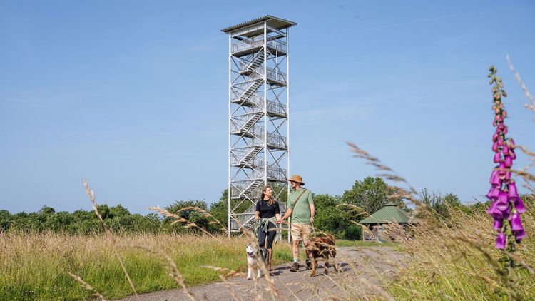 Schauinslandweg__c_Manuela_Meyer_16_9