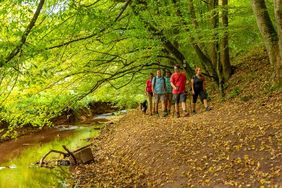 Wandergruppe im Wald