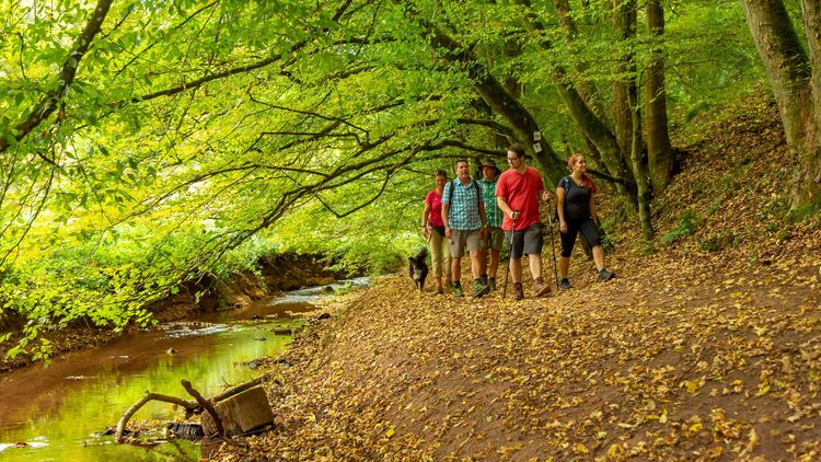 Wandergruppe im Wald