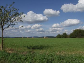 Blick auf Wiese mit Heuballen