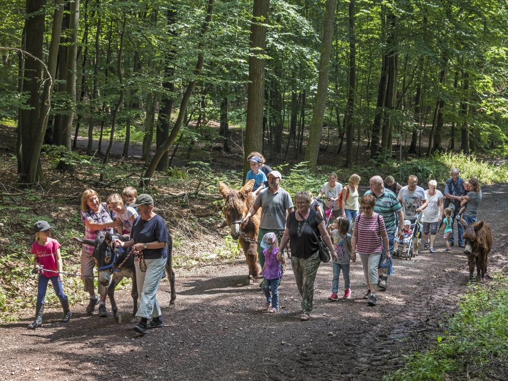 Eltern und Kindern bei der Eselwanderung