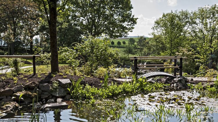 Teich im asiatischen Garten