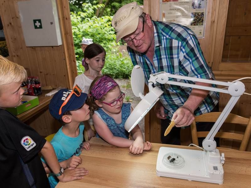 Gästeführer Werner Paul zeigt Kindern eine trockene Bienenwabe