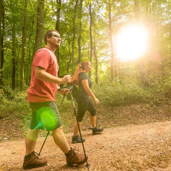 Link zur Seite Wandern in der Region Neunkirchen