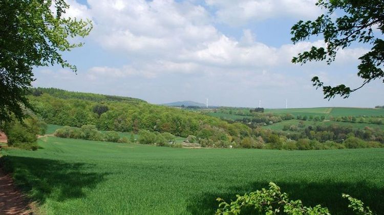 Ausblick auf Felder