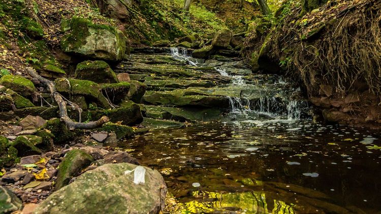 Klamm im Kerbacher Loch