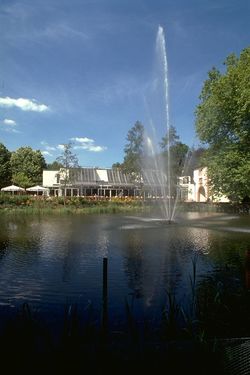 Weiher mit Fontäne