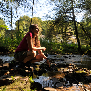 Link zur Seite Wandern in der Region