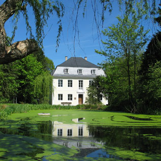 Blick über Weiher auf das Schloss Buseck