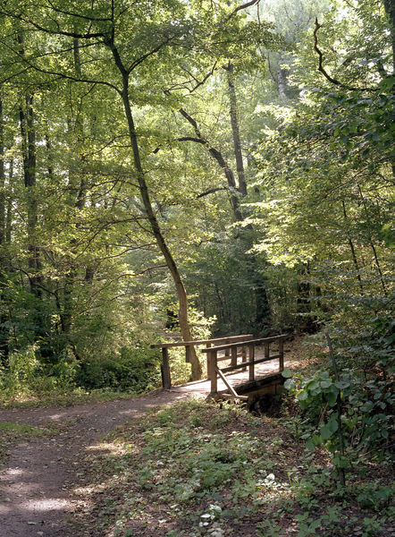 Wanderweg mit kleiner Holzbrücke